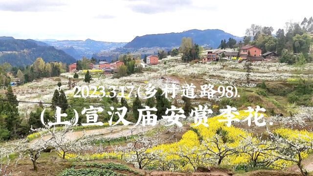 2023.3.17.(乡村道路98).(上)宣汉庙安赏李花.