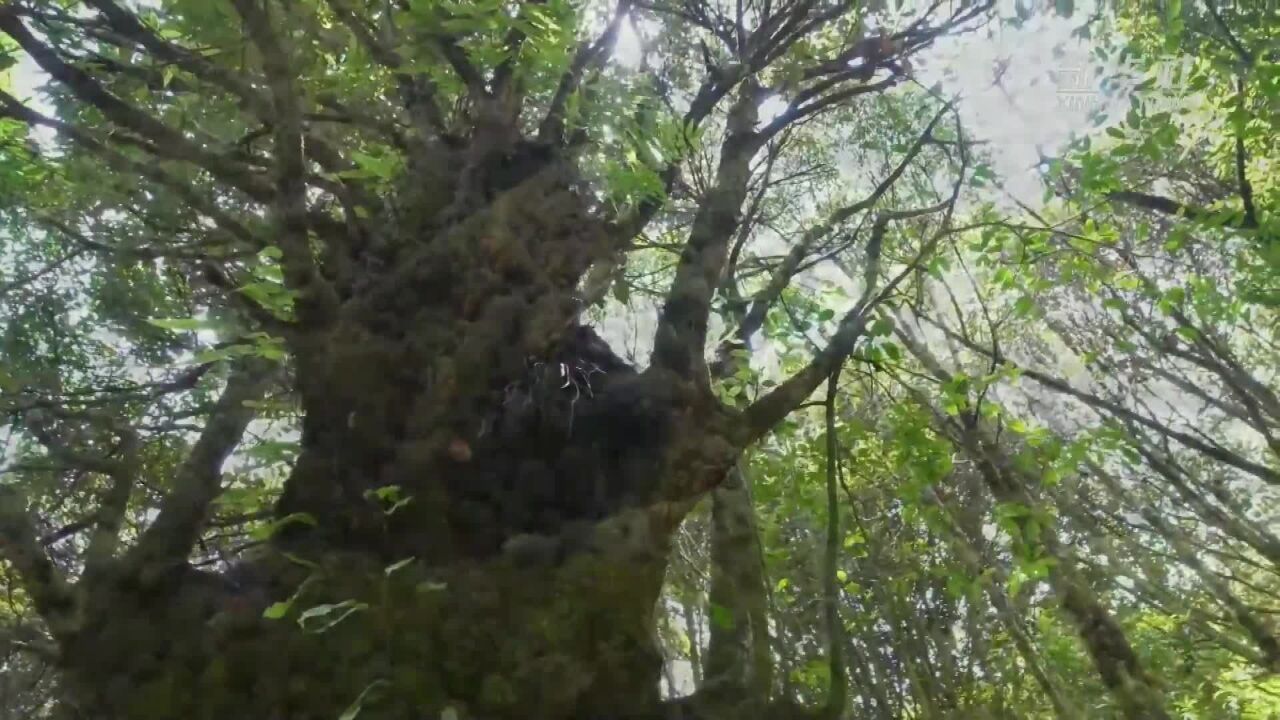 千城胜景|云南施甸:峰峦叠翠悠然出 青山美景若仙境