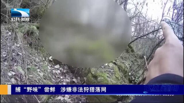 宜昌兴山:捕“野味”尝鲜 涉嫌非法狩猎落网