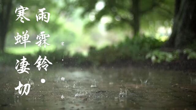 下雨天最有诗意,手抄《雨霖铃ⷥ‰凄切》