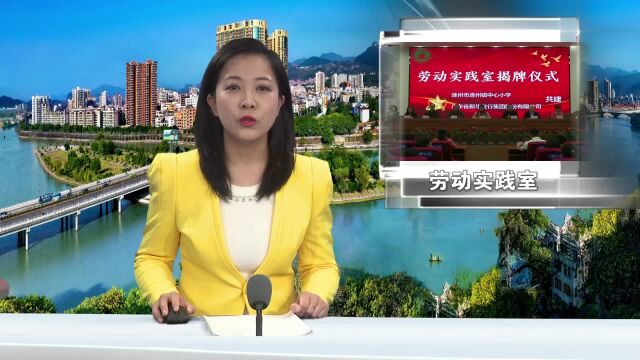 连州首个校园劳动实践室落户连州镇中心小学