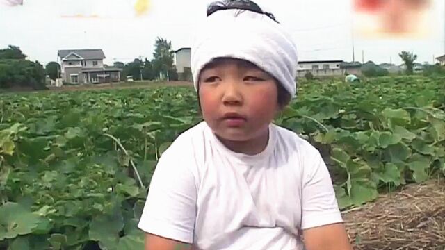 一口气看完热爱农业的小少年俊介的综艺纪录片故事