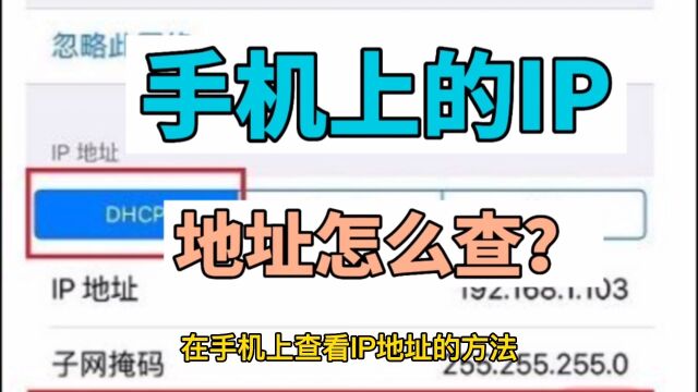 手机上的IP地址怎么查看?