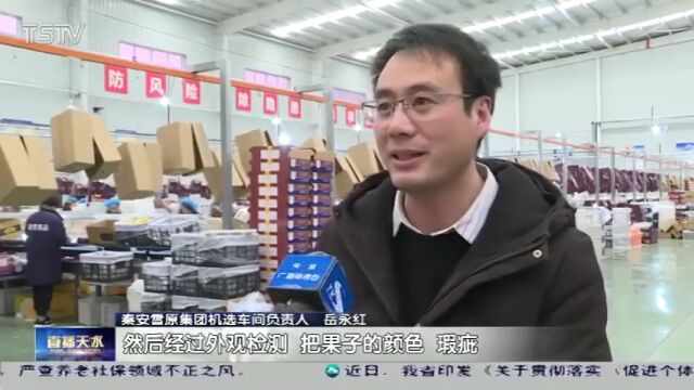 天水:打造“甘味”品牌 助力乡村振兴