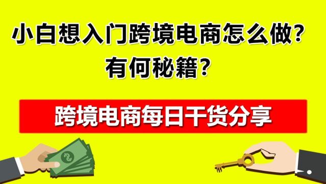 03.小白想入门跨境电商怎么做?有何秘籍?