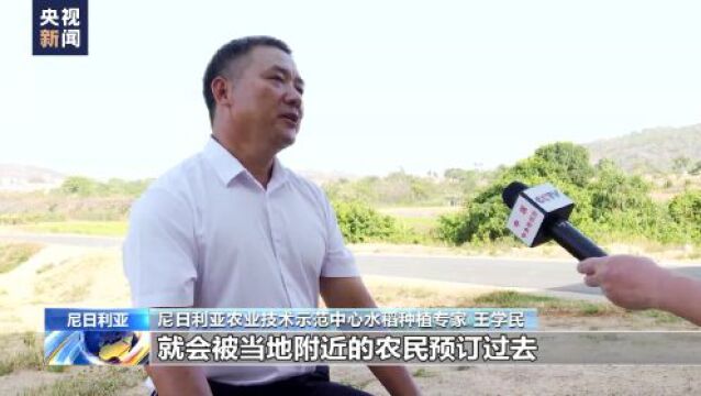 扎根尼日利亚 中国专家助当地农业现代化