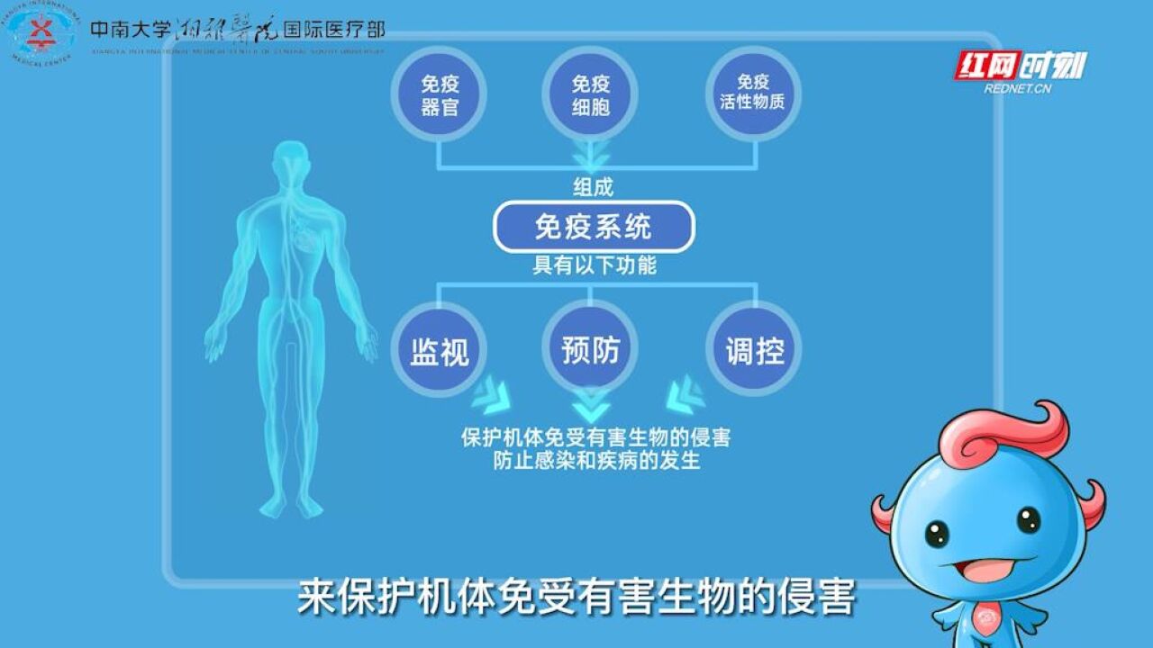 医疗科普 | 免疫是何物?我们应如何科学地增强免疫力