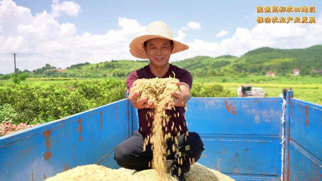 湖南日报|靖州:制种大县下活“一盘大棋”