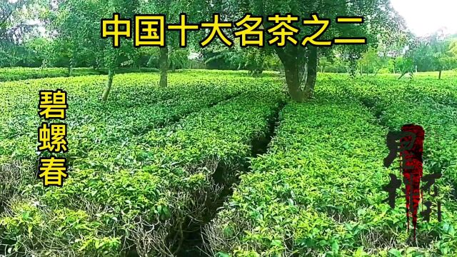 繁星说影:中国十大名茶之二碧螺春