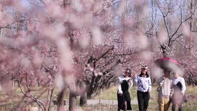 铸牢中华民族共同体意识 | 民族团结一家亲 共谱民族团结情