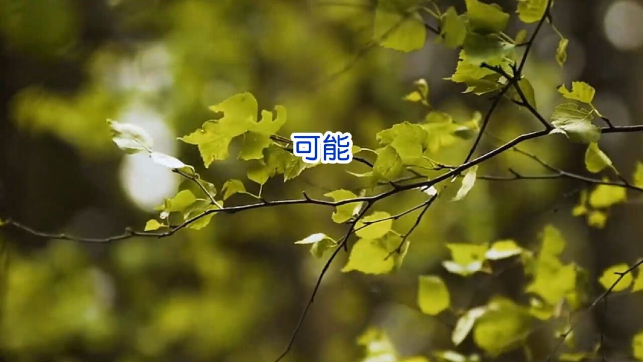 相信一切都有可能