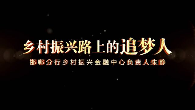 邯郸朱静:统筹打造金融服务乡村振兴示范区