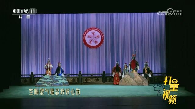 郑晶晶精彩表演京剧《对花枪》,空盼望气难忍我好心伤