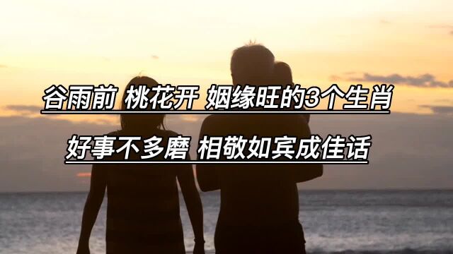 谷雨前,桃花开,姻缘旺的3个生肖,好事不多磨,相敬如宾成佳话