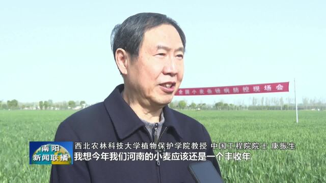 全国小麦条锈病防控现场会在南阳邓州召开