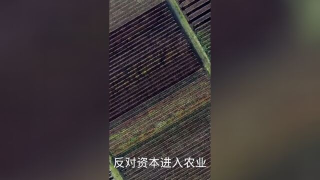 反对资本进入农村土地市场