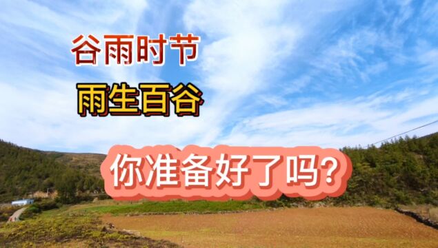 谷雨时节,雨生百谷!您准备好了吗?