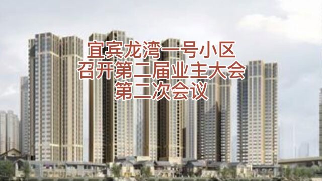 宜宾龙湾壹号小区2020年第二届业委会召开第二次业主大会