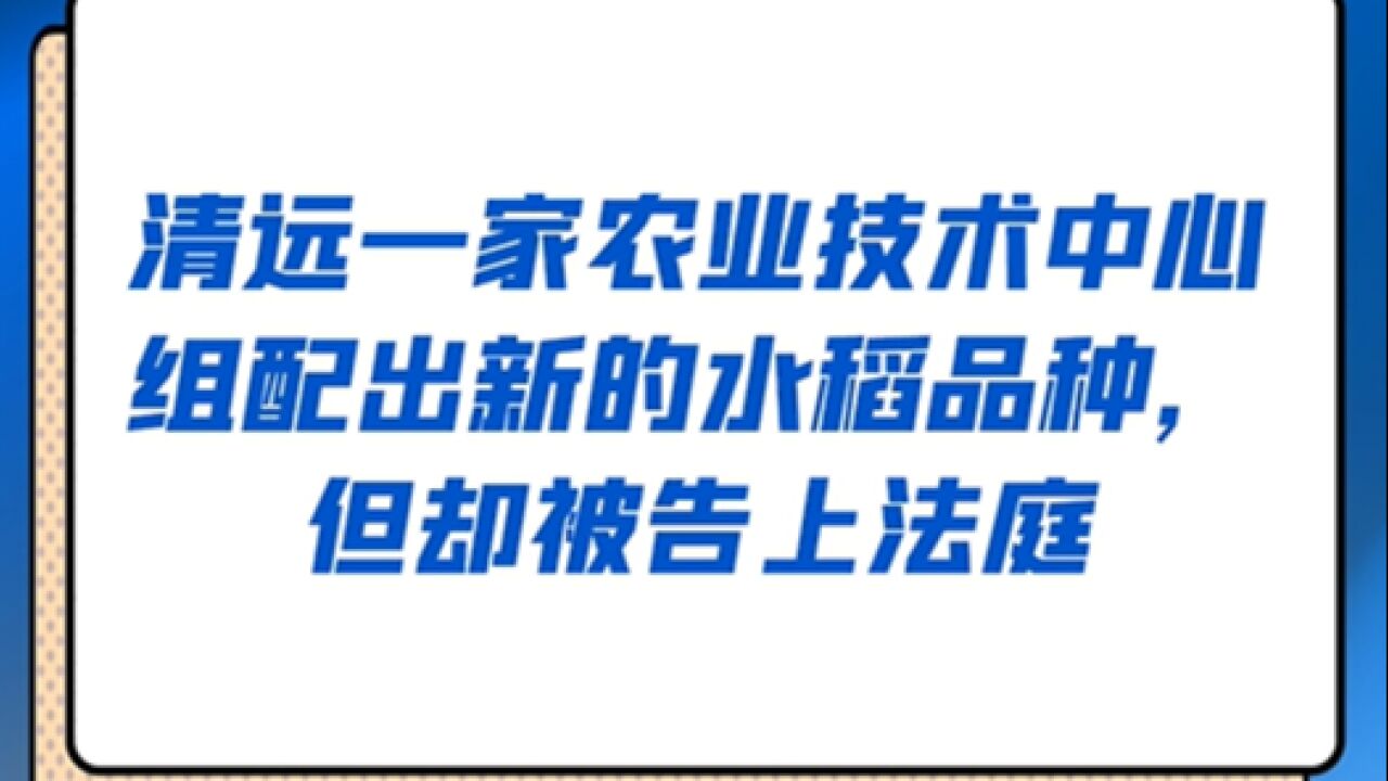 农业技术中心组配新水稻品种遭起诉,法院认定不涉及侵权