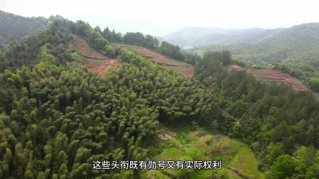 江西元代700年深山古墓,道教一派开山祖师,为什么杂草丛生无人问津?