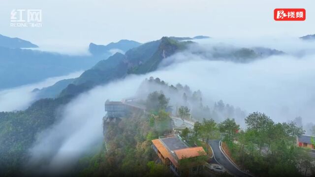 湖南桑植:太极拳+骑行 绿水青山中享受健康和快乐