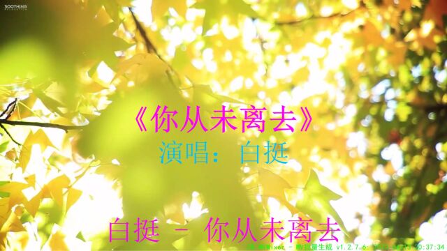 白挺 演唱的《你从未离去》让你沉浸在幸福愉悦之中忘记烦恼