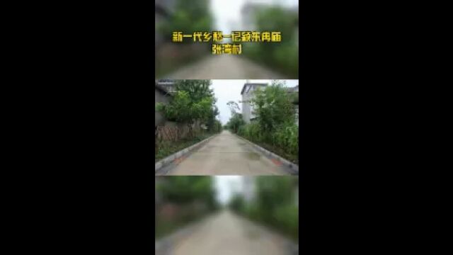 新一代乡愁记颍东冉庙张湾村