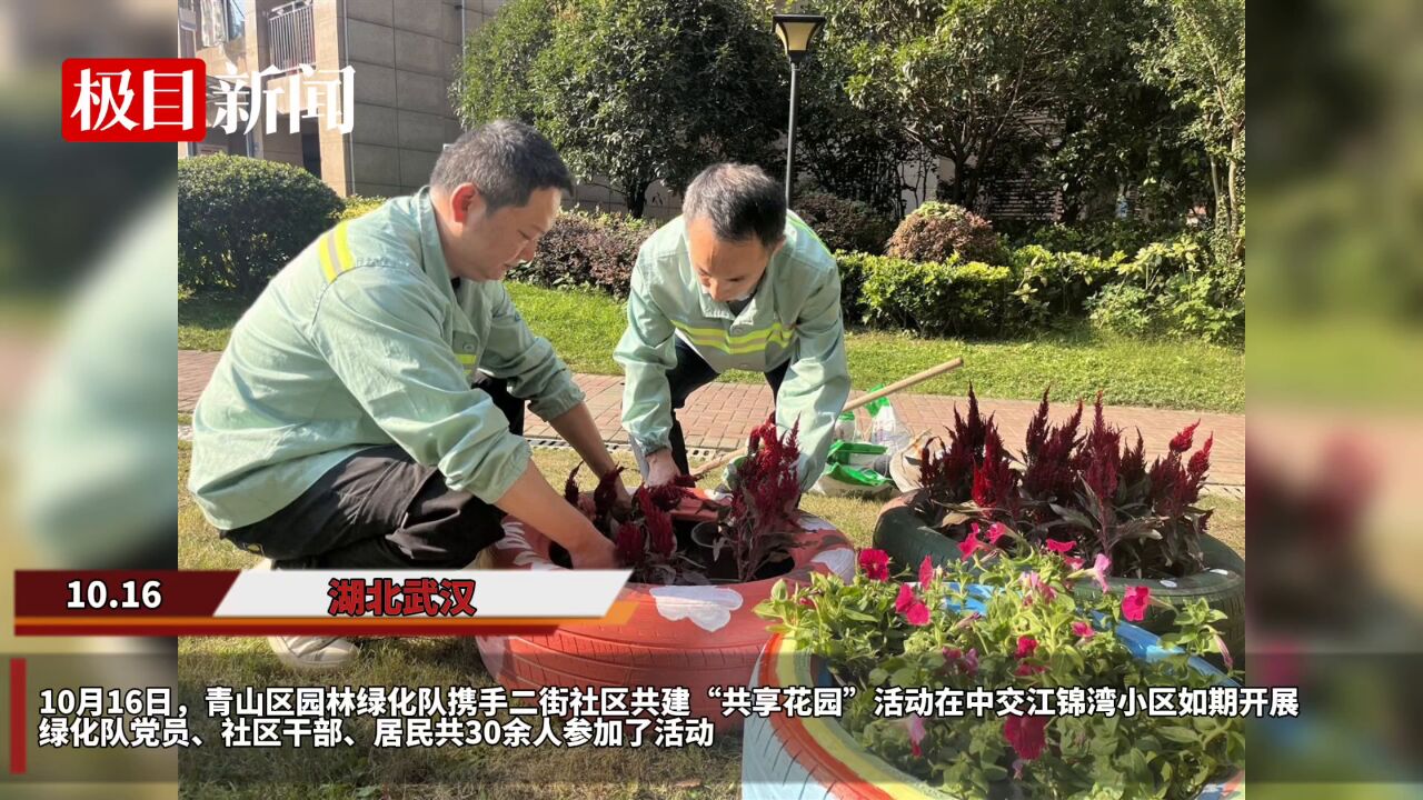 【视频】武汉市青山区园林绿化队携手社区共建“共享花园”