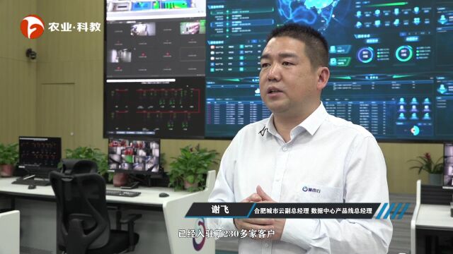 合肥城市云——核心“知产” 打造城市的产业数字化转型云底座