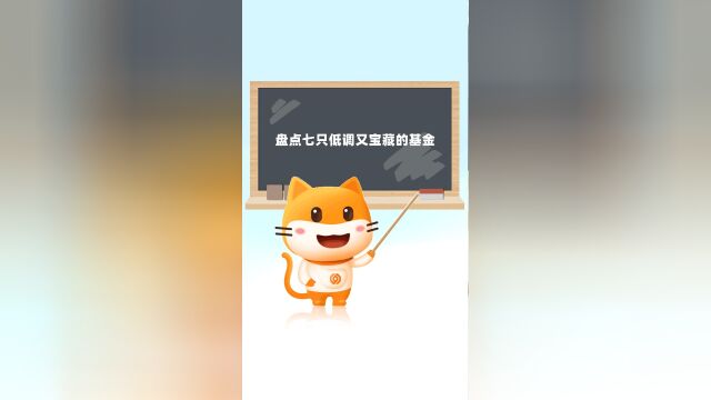 盘点7只低调小众的宝藏基金!看看你了解几只?