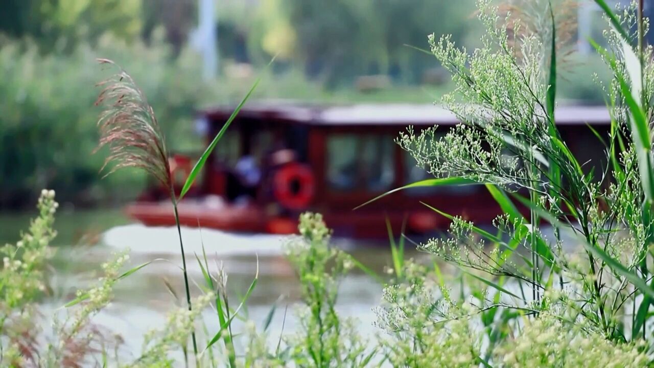 千城胜景|河北沧州:“四季ⷮŠ运河”展新颜