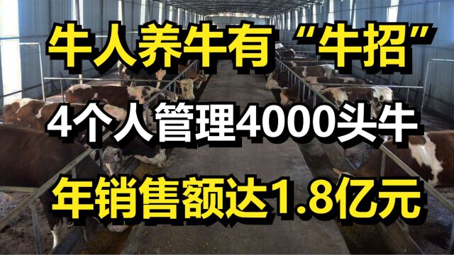 牛人养牛有“牛招”,4个人管理4000头牛,年销售额达1.8亿元!