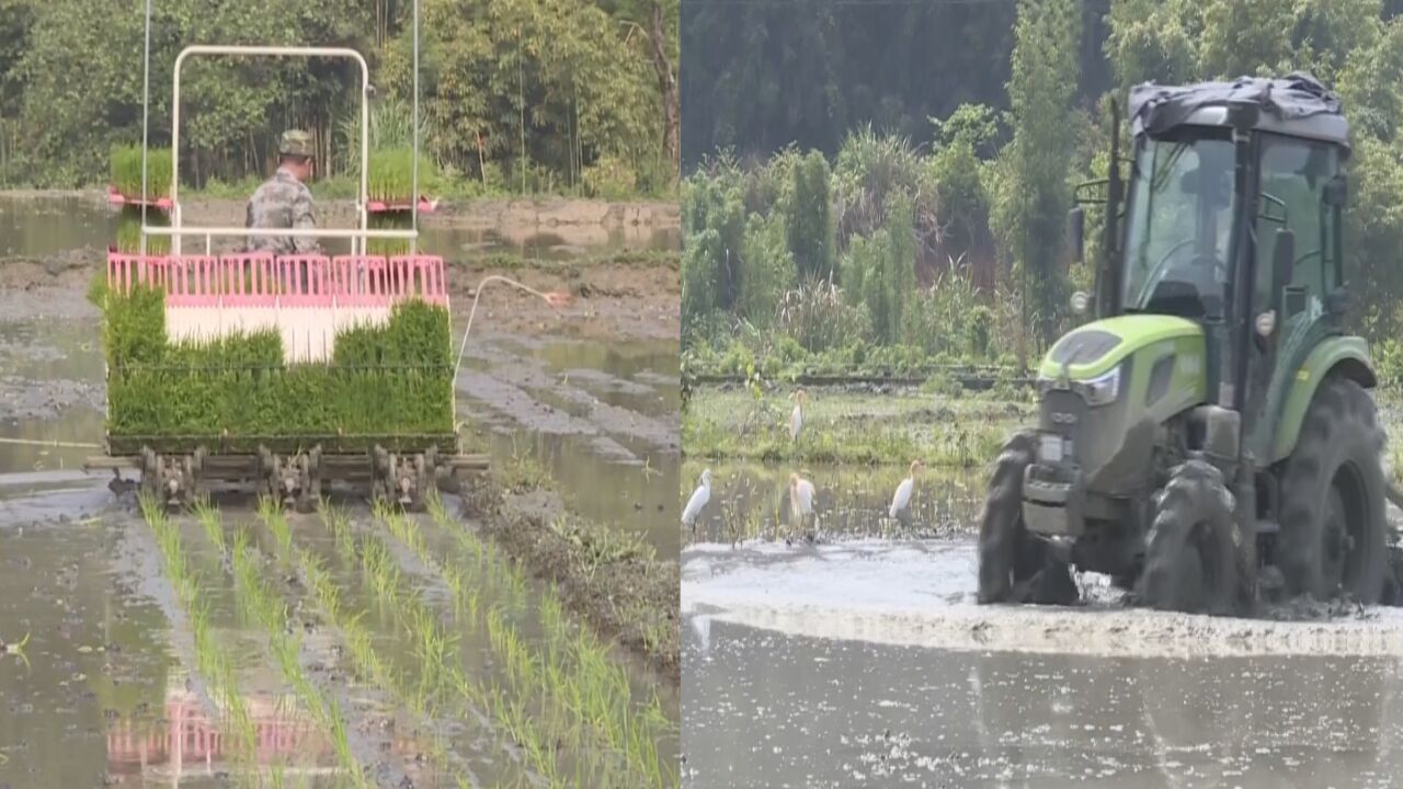 春耕更高效!南平多地实施机械化种植 春播春种跑出“加速度”