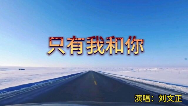 记忆中的旋律,经典老歌回放,只有我和你,刘文正