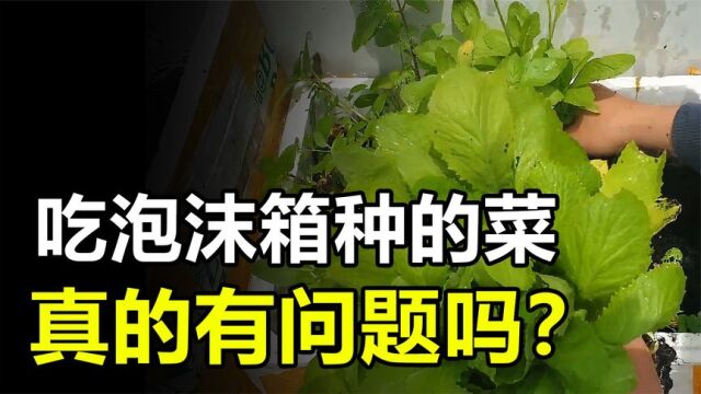 吃了三年泡沫箱子种的菜,结果导致癌症?泡沫箱种菜真的有问题?