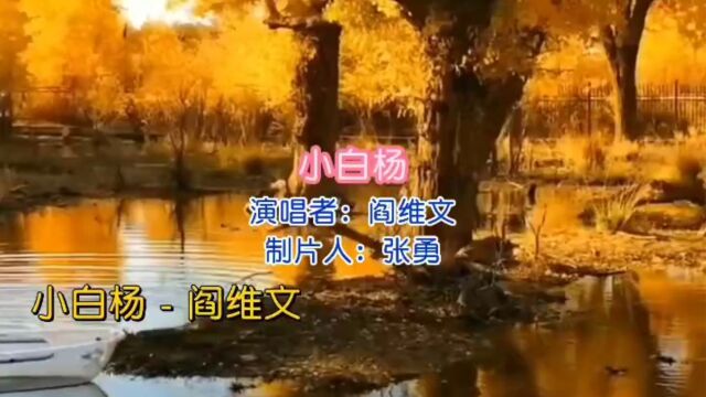 盘点红歌 回忆满满 第33首《小白杨》阎维文