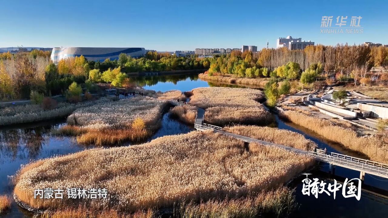 瞰中国|锡林浩特的秋天