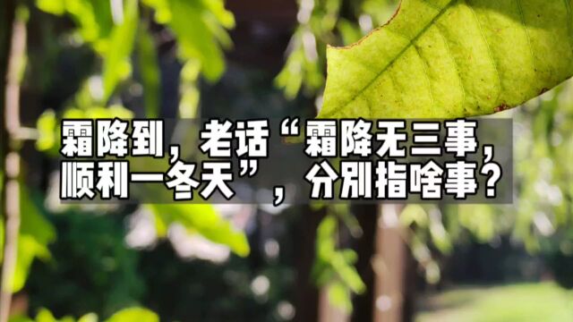 霜降到,老话“霜降无三事,顺利一冬天”,分别指啥事?