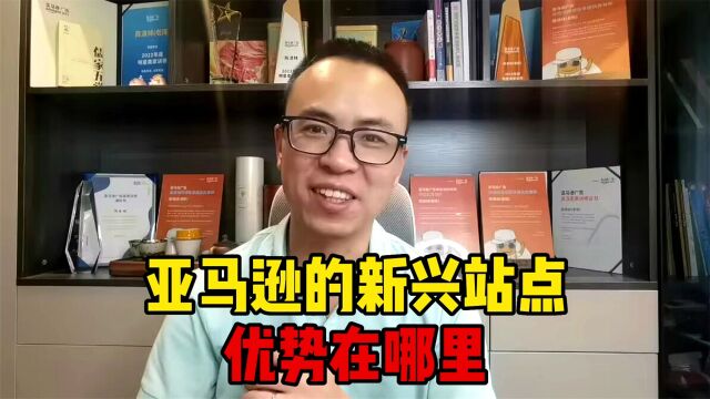 新手创业做亚马逊,为什么更建议新兴站点?其具备哪些优势?