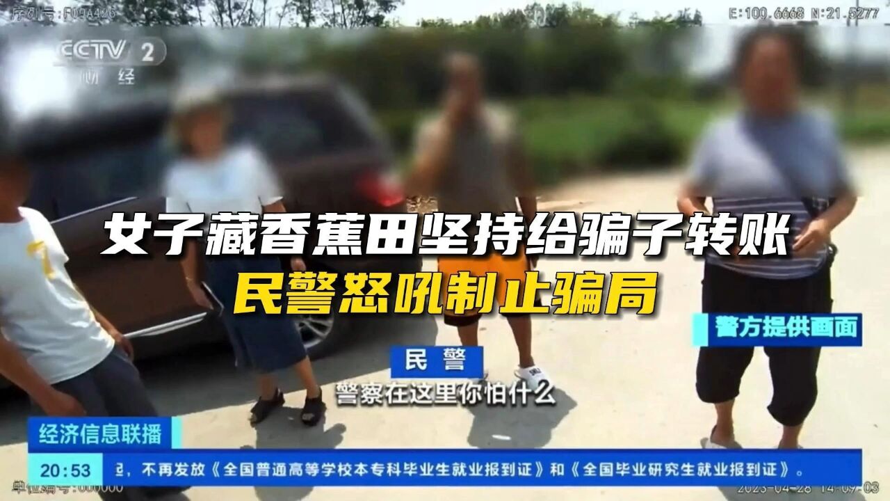 “警察站在面前你怕什么!”女子藏香蕉田坚持给骗子转账,民警怒吼制止骗局