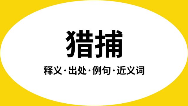 “猎捕”是什么意思?