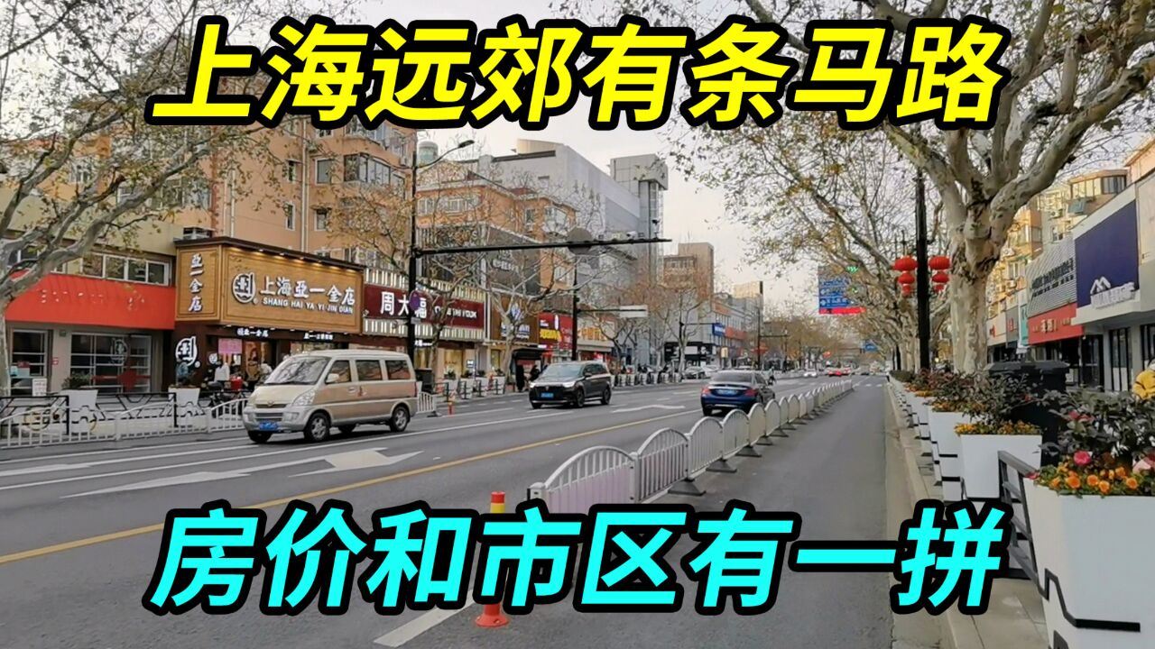 上海远郊有条马路,当地房价和市区有一拼,有小南京路之称