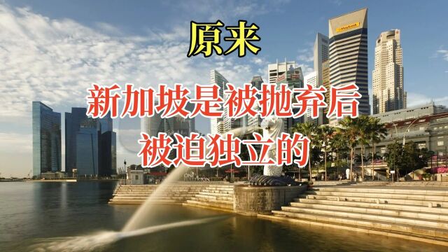 原来新加坡是被抛弃后被迫独立的#科普知识 #涨知识