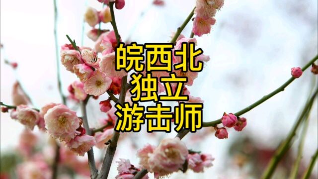 活跃在紫蓬山区的皖西北独立游击师