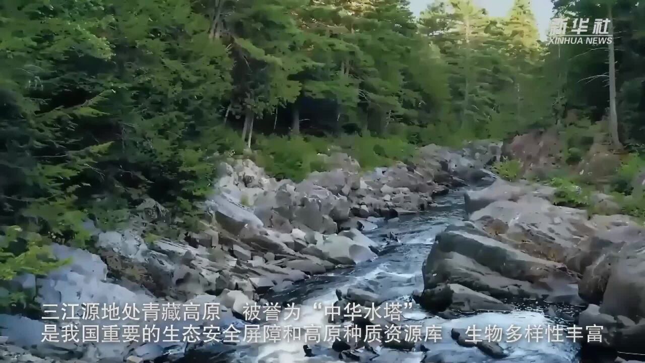 相伴而生 三江源生态守护者眼中的生物多样性