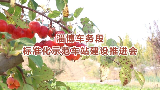 淄博车务段标准化示范车站建设推进会(阳信、雷家站)