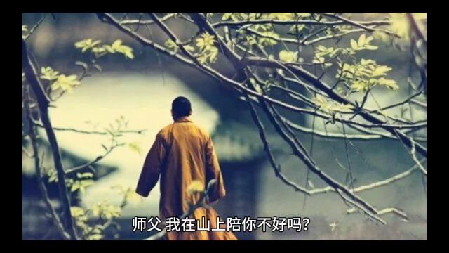 热门悬疑《喂,你身后有鬼》季初禾全章节在线阅读无删减