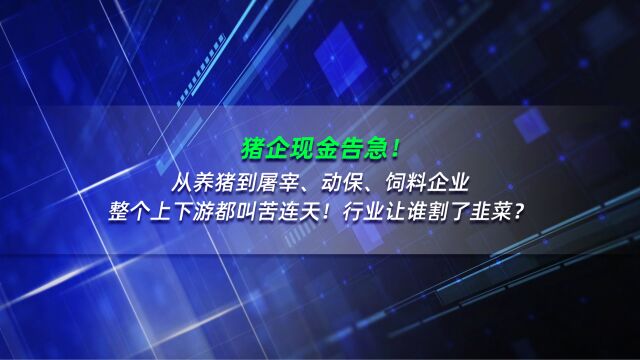 猪企现金告急!从养猪,到屠宰、动保、饲料企业,整个上下游都叫苦连天!行业让谁割了韭菜?