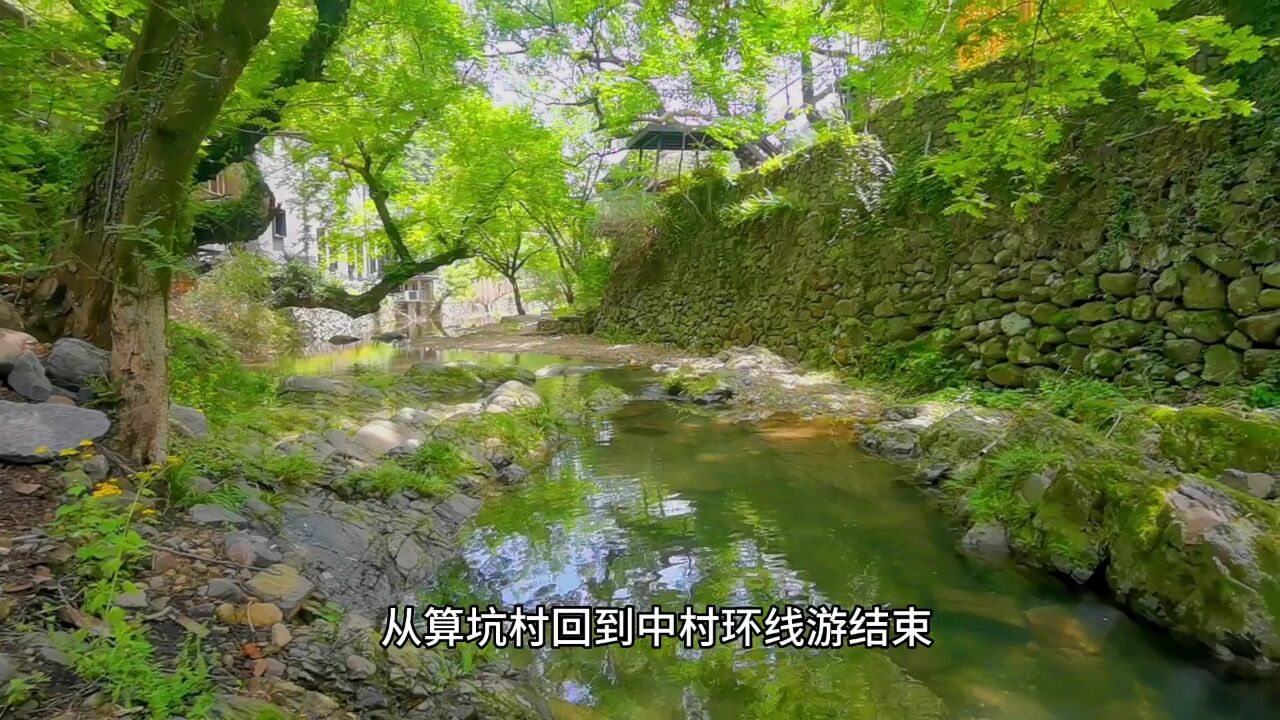 余姚鹿亭乡精品登山步道,金银花海惊艳,五个地方去过吗?