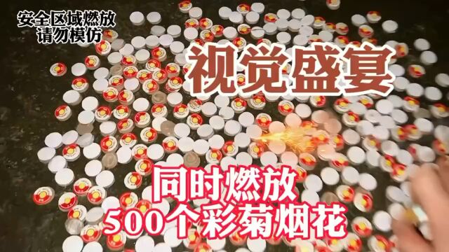 同时燃放500个彩菊烟花,会有什么样的视觉盛宴?